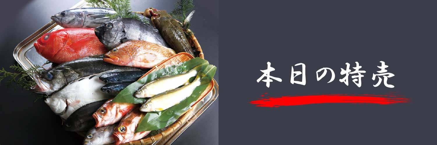 メインビジュアルイメージ