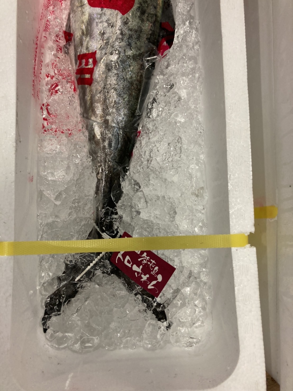 →三重　トロサワラ　2.5k前後　半身　k5500