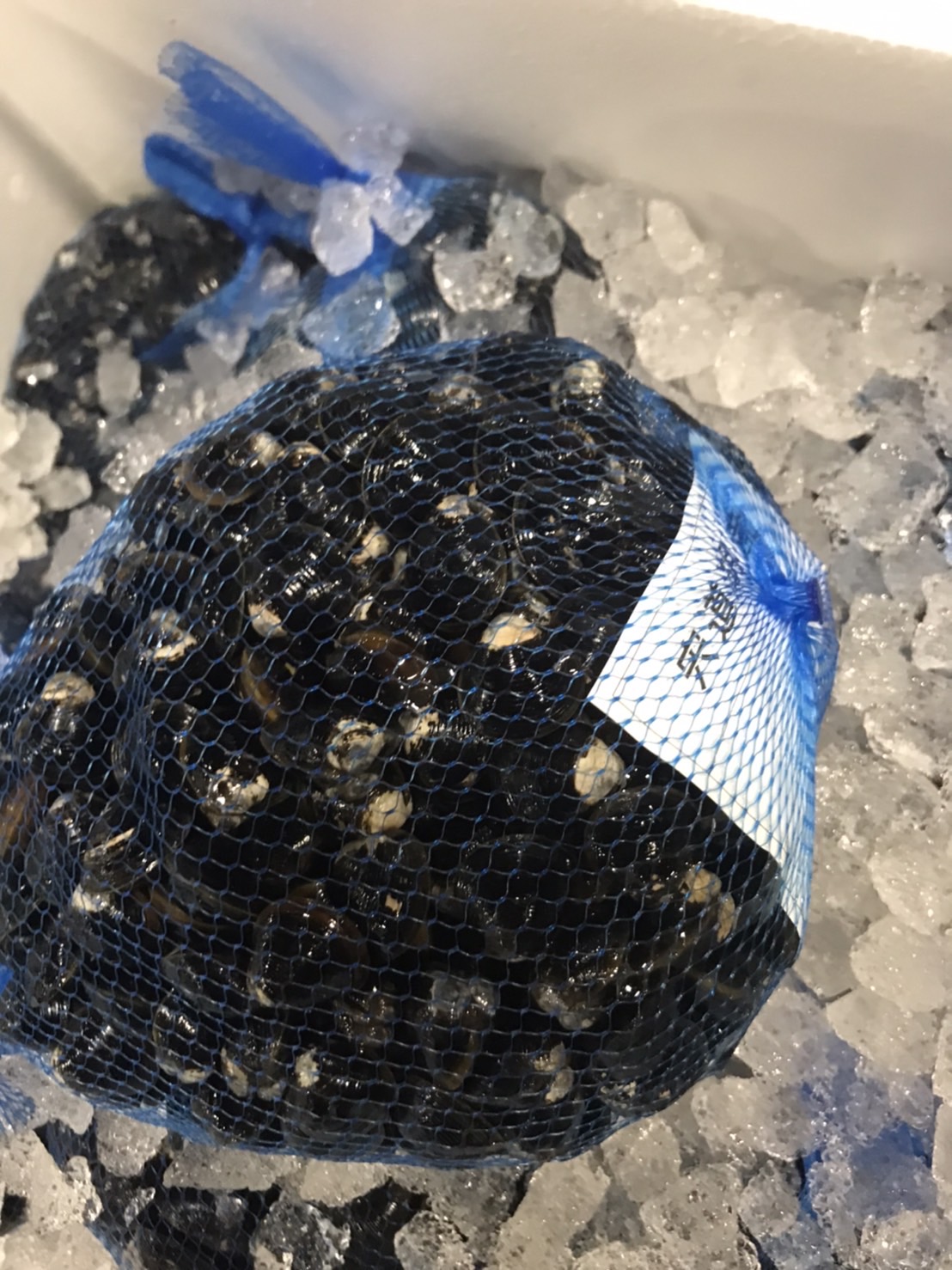 ∞東京　シジミ（小）1Ｋg入１パック￥1180