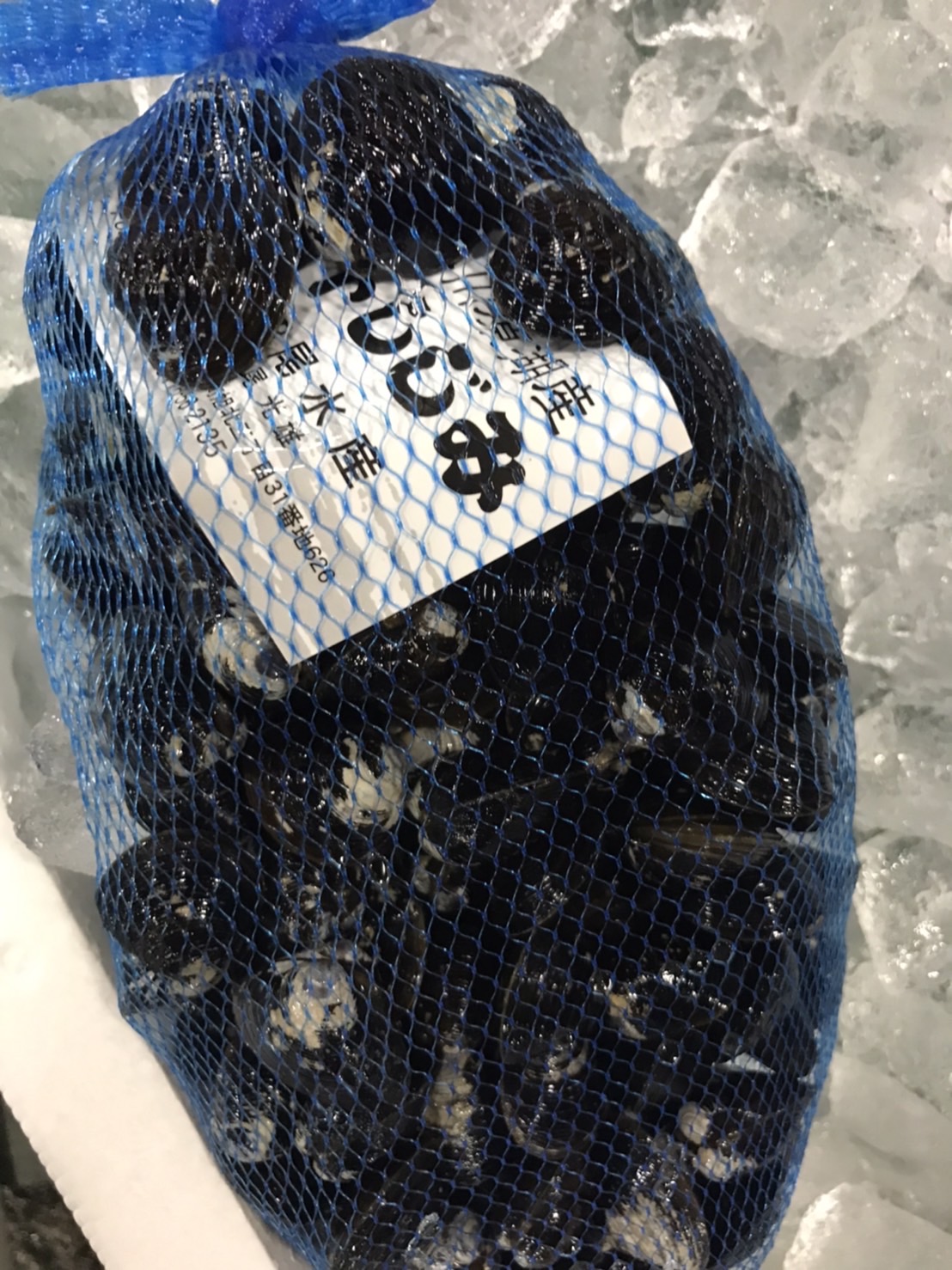 ∞青森　シジミ　特大　500g入　1p1200円