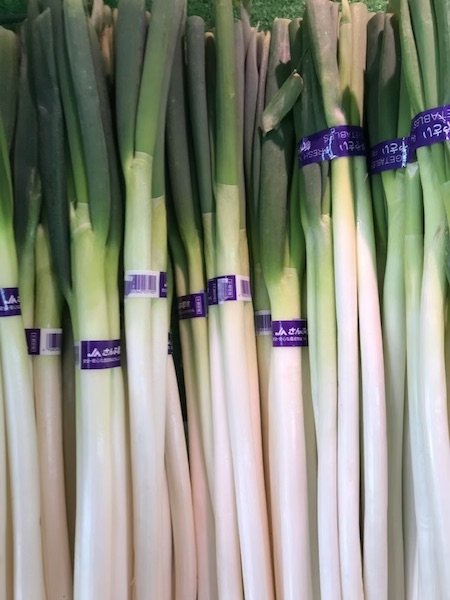 長ネギ　１束　2L 2本