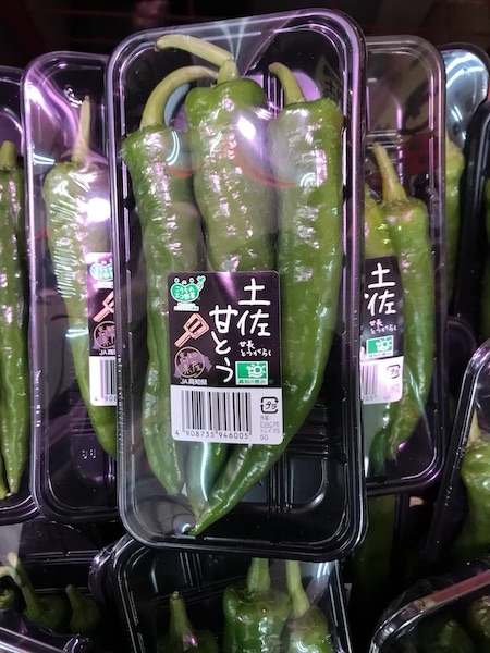 土佐甘とう　１パック　