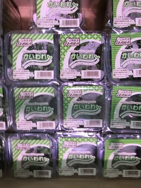 カイワレ大根　１パック