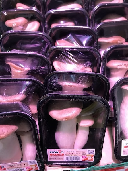 エリンギ　１パック