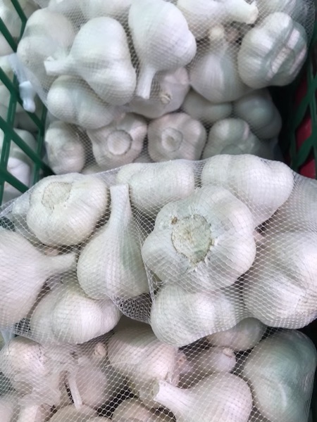 国産ニンニク 　１kg   CL規格