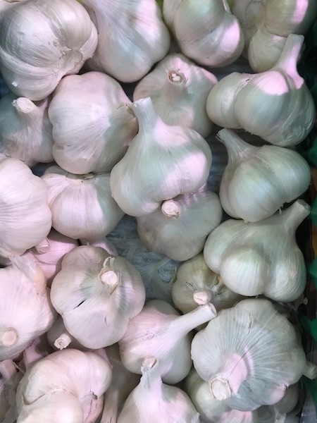 国産ニンニク　１個　４７８円前後