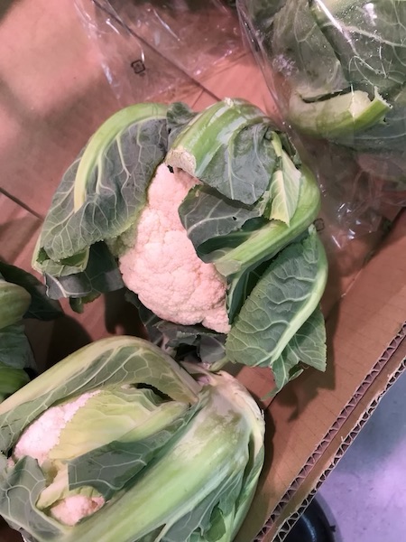 カリフラワー　１個　３５８円前後