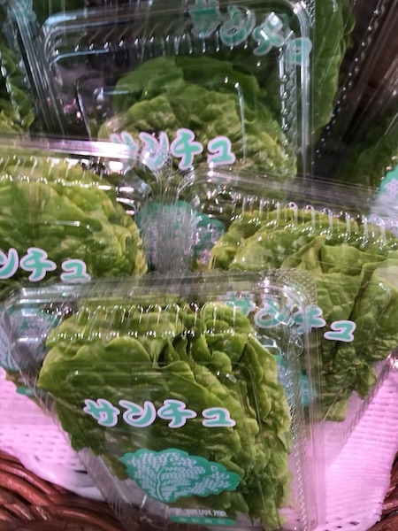 サンチュ　１パック