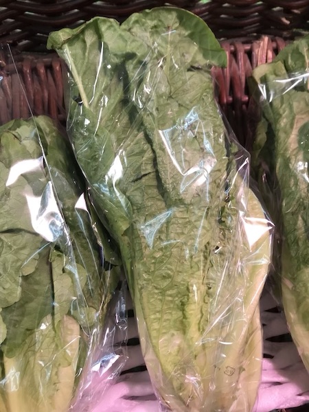 ロメインレタス　１パック　１１８円前後