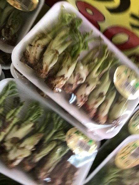 タラの芽　１パック