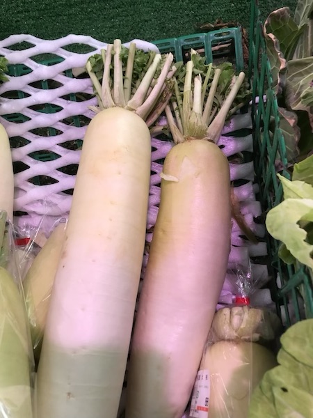 大根 　２L   1本　