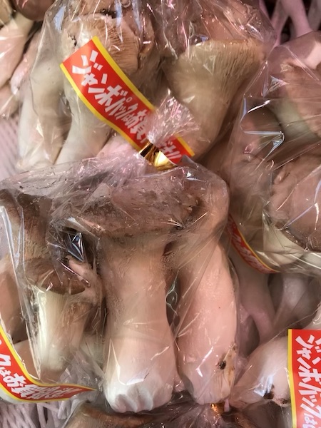 エリンギ（大袋）１袋　２８６円前後