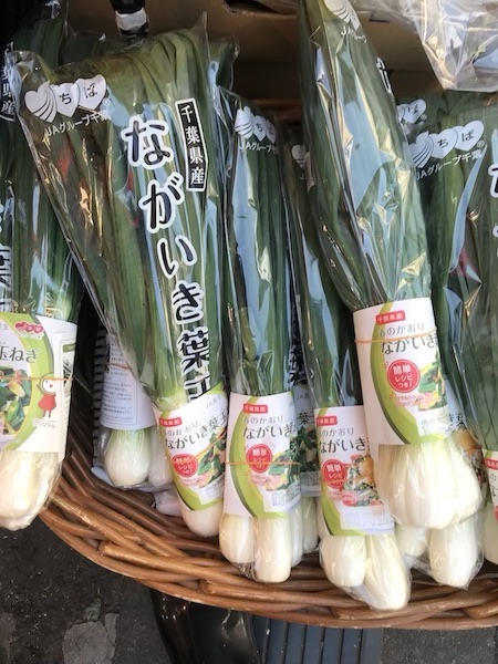 葉たまねぎ　１袋