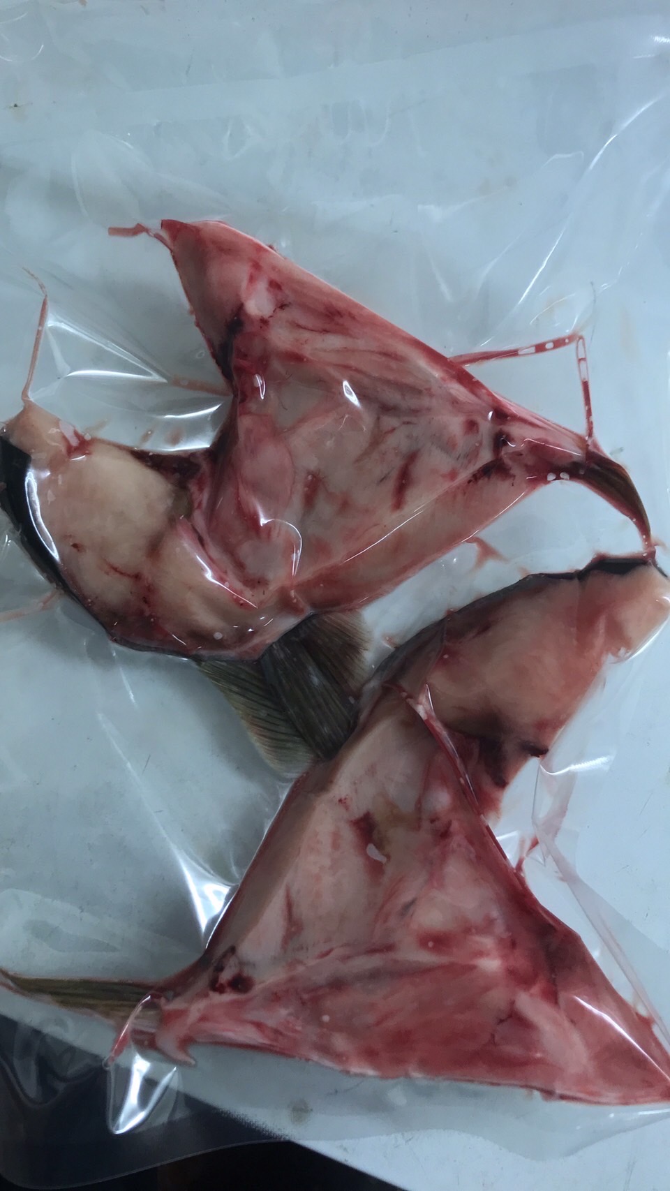 →鹿児島　冷凍カンパチカマ　養殖　2個入　1p