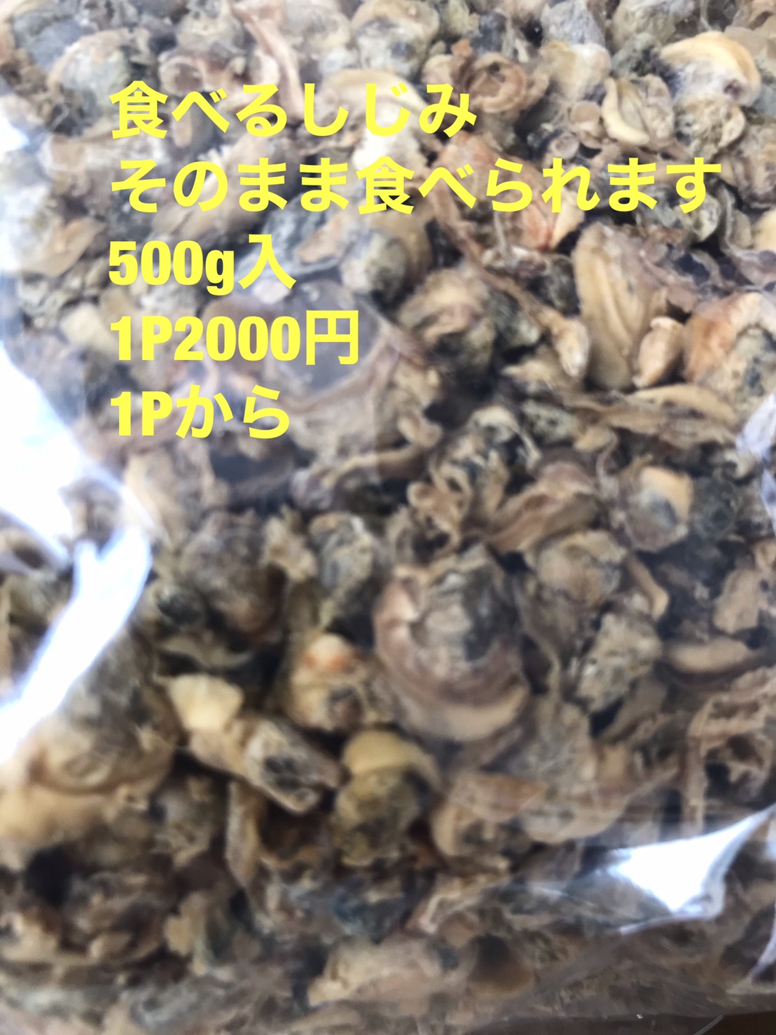 ∞食べるシジミ　５００g入１パック