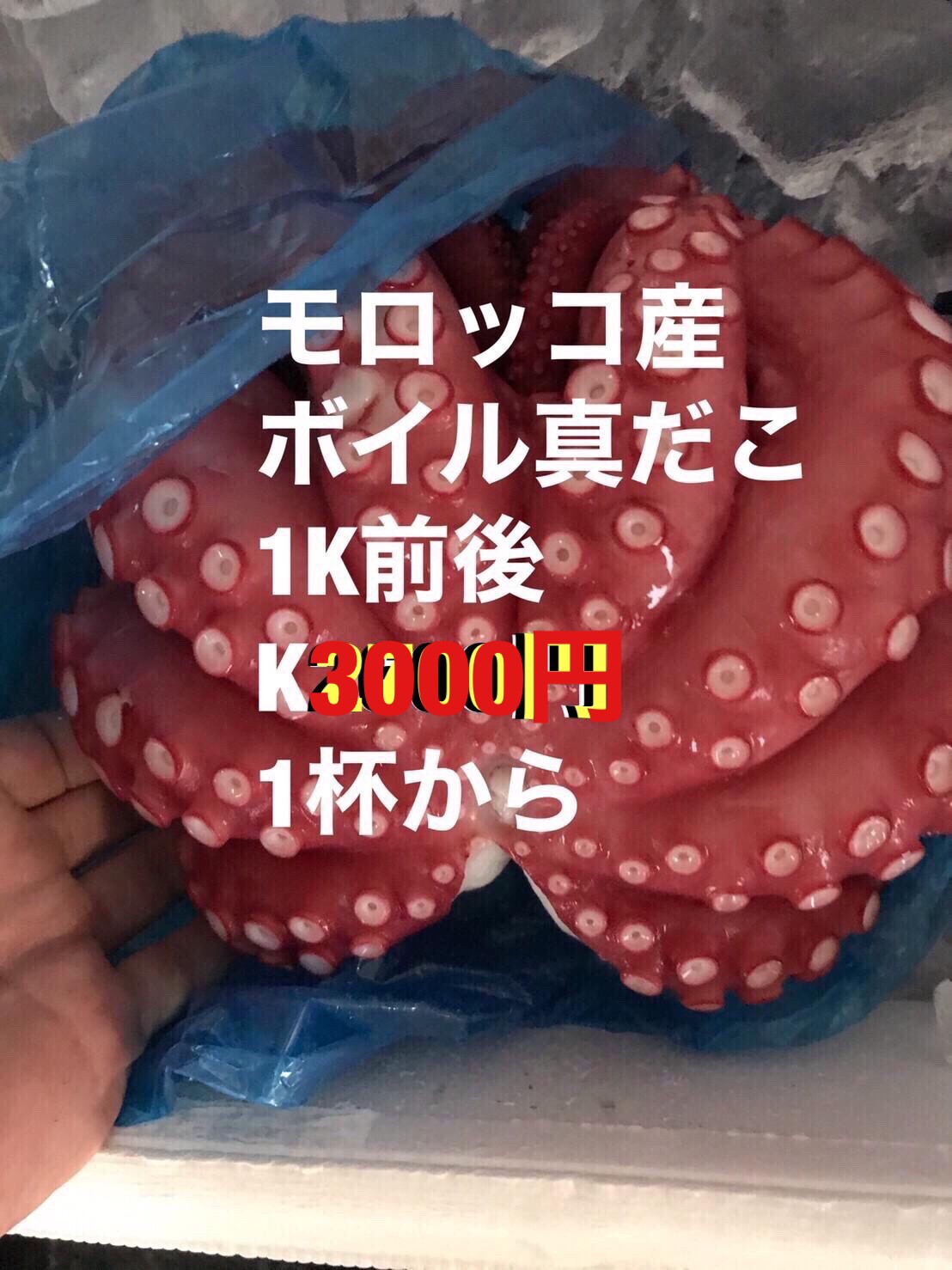 ＊モロッコ産　ボイルマダコ　1K前後　１杯　K3999