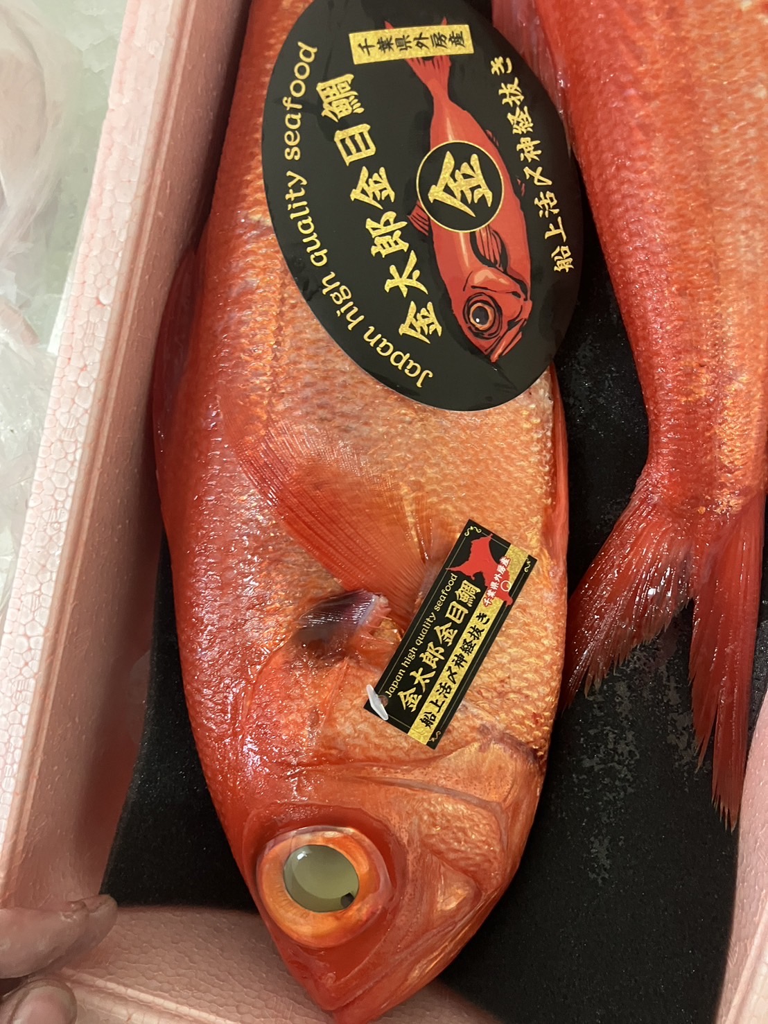 →天津　特上キンメダイ　1k前後　  1尾　k3300