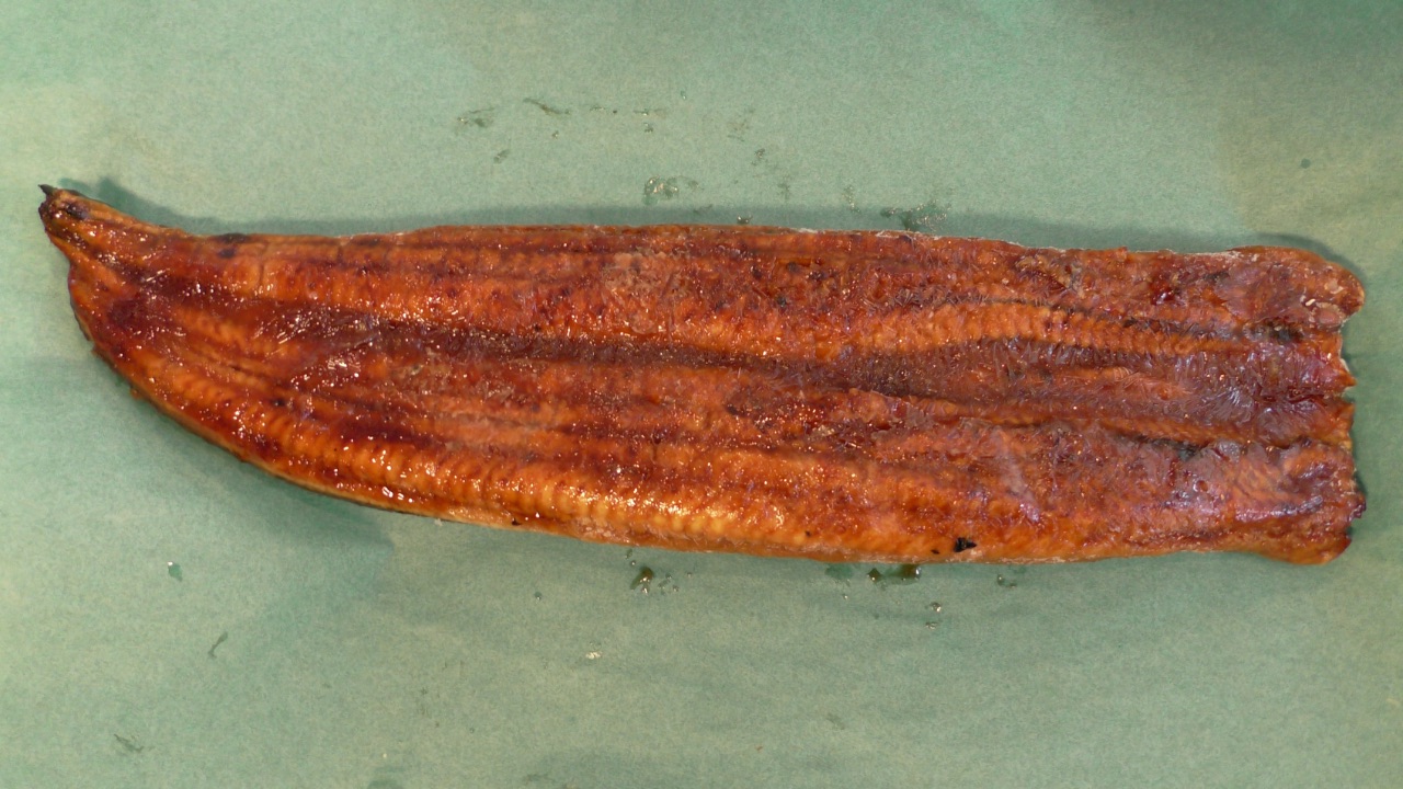冷凍ウナギ長焼き(280g/1枚)