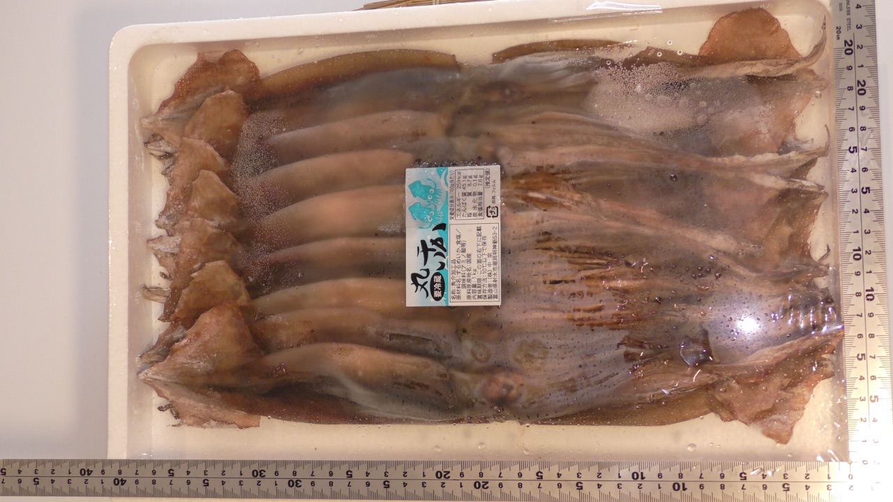冷凍丸干しイカ(500g/1ﾊﾟｯｸ)