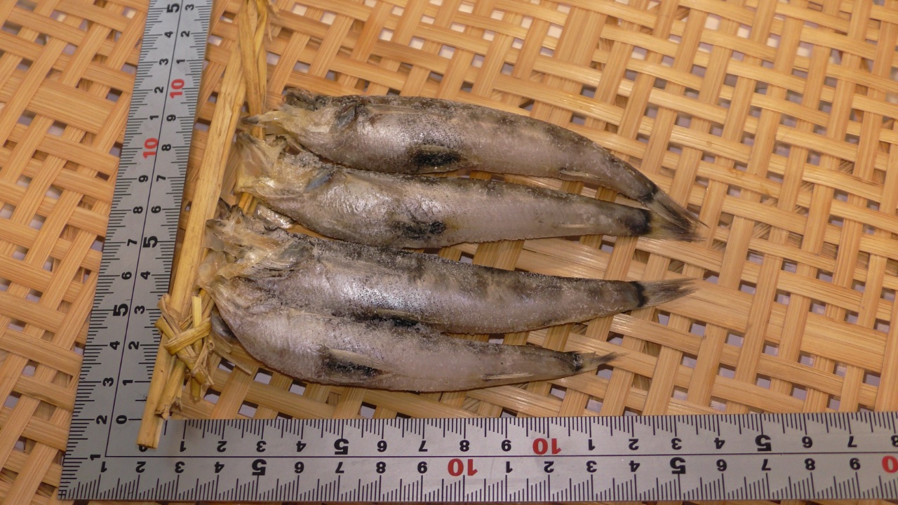 冷凍メヒカリ一夜干し(4尾/1連)
