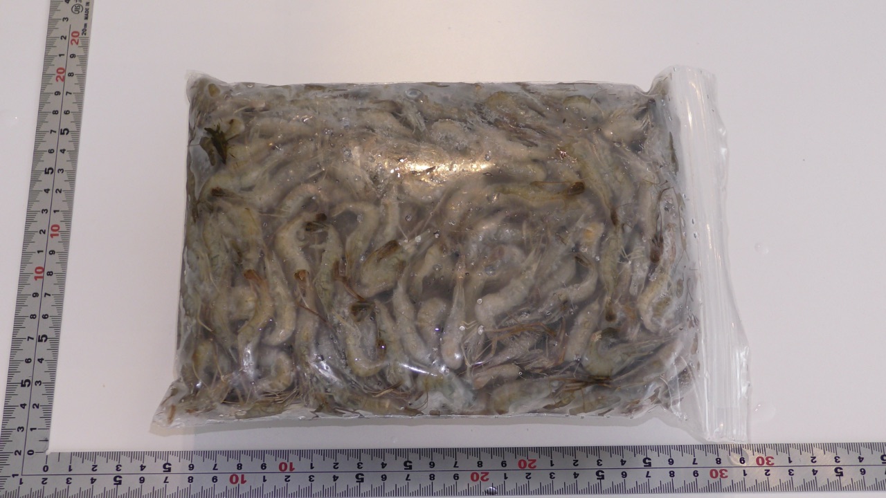 冷凍カワエビ(500g/1ﾊﾟｯｸ) エビ