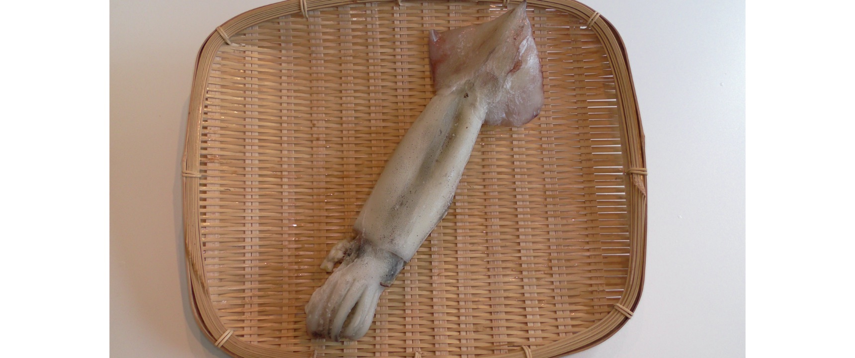 冷凍スルメイカ(1本)