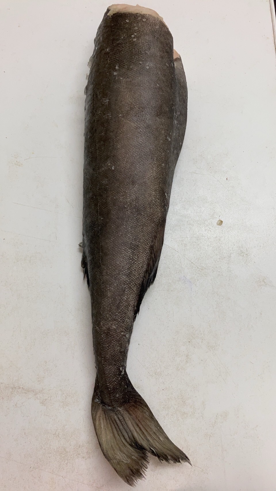 冷凍銀ダラドレス　Ａ品　1尾　k2300円