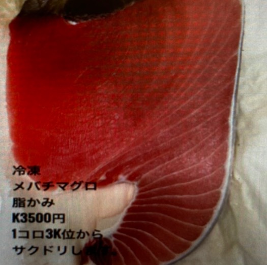 冷凍メバチマグロ脂かみ(１コロ)k5000