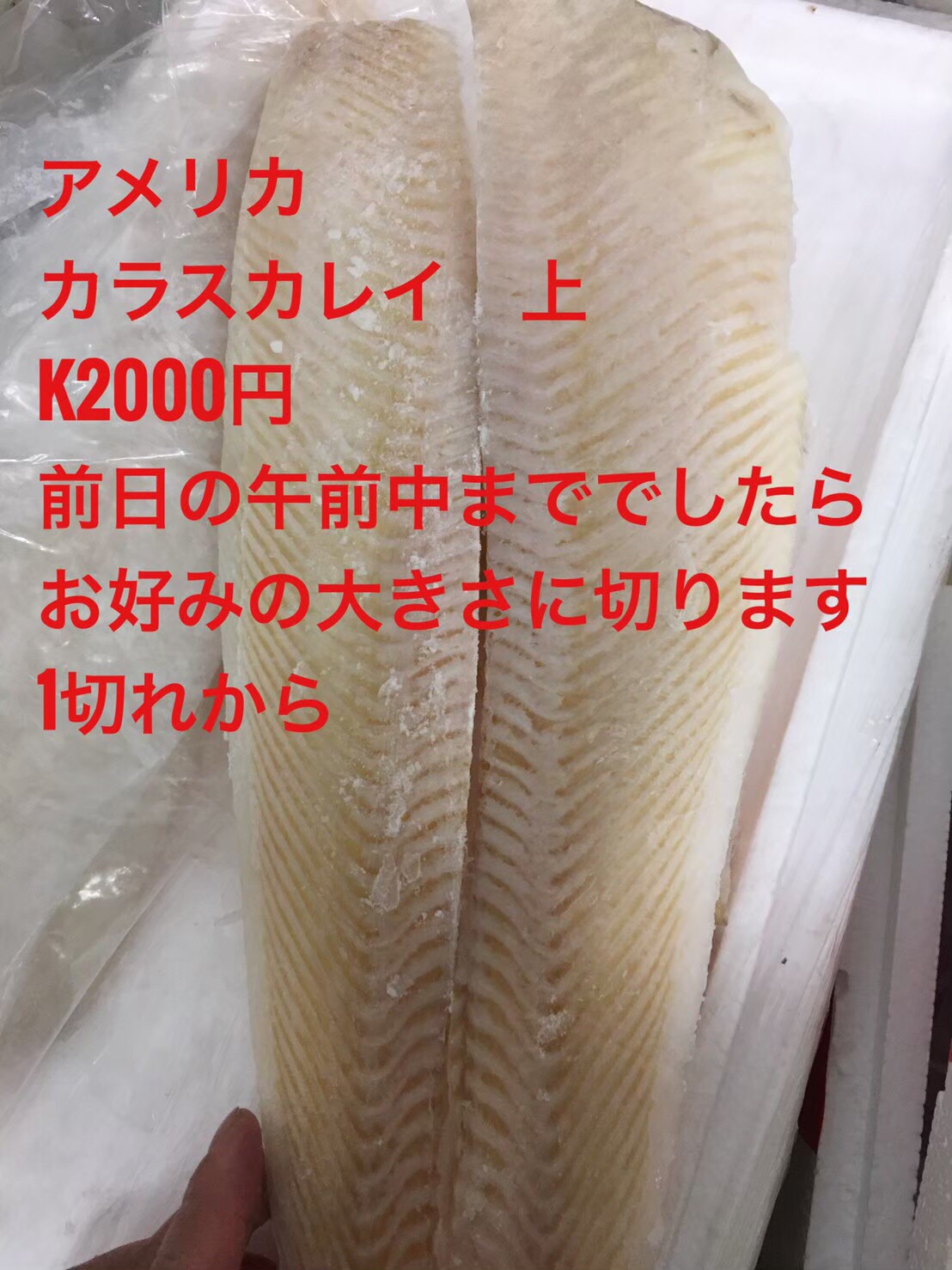 冷凍カラスガレイフィレ(1切)k2500