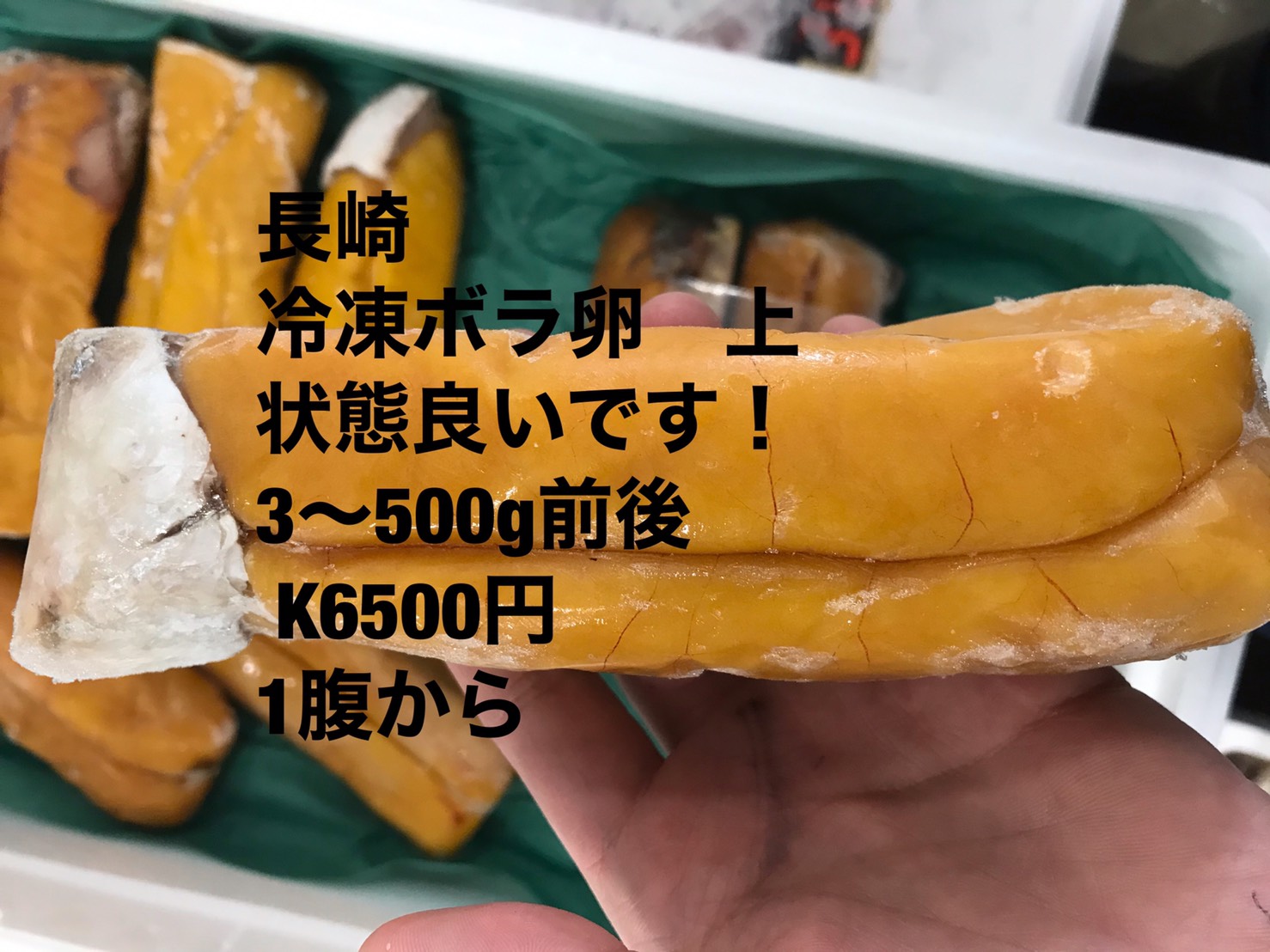 長崎 冷凍ボラ卵 上 300~500g前後