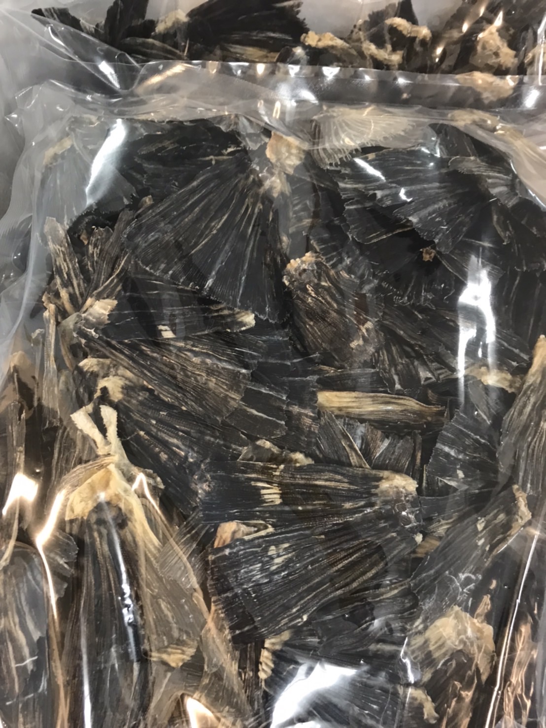 →大分　ヒレ酒用トラフグヒレ　100g入　1p