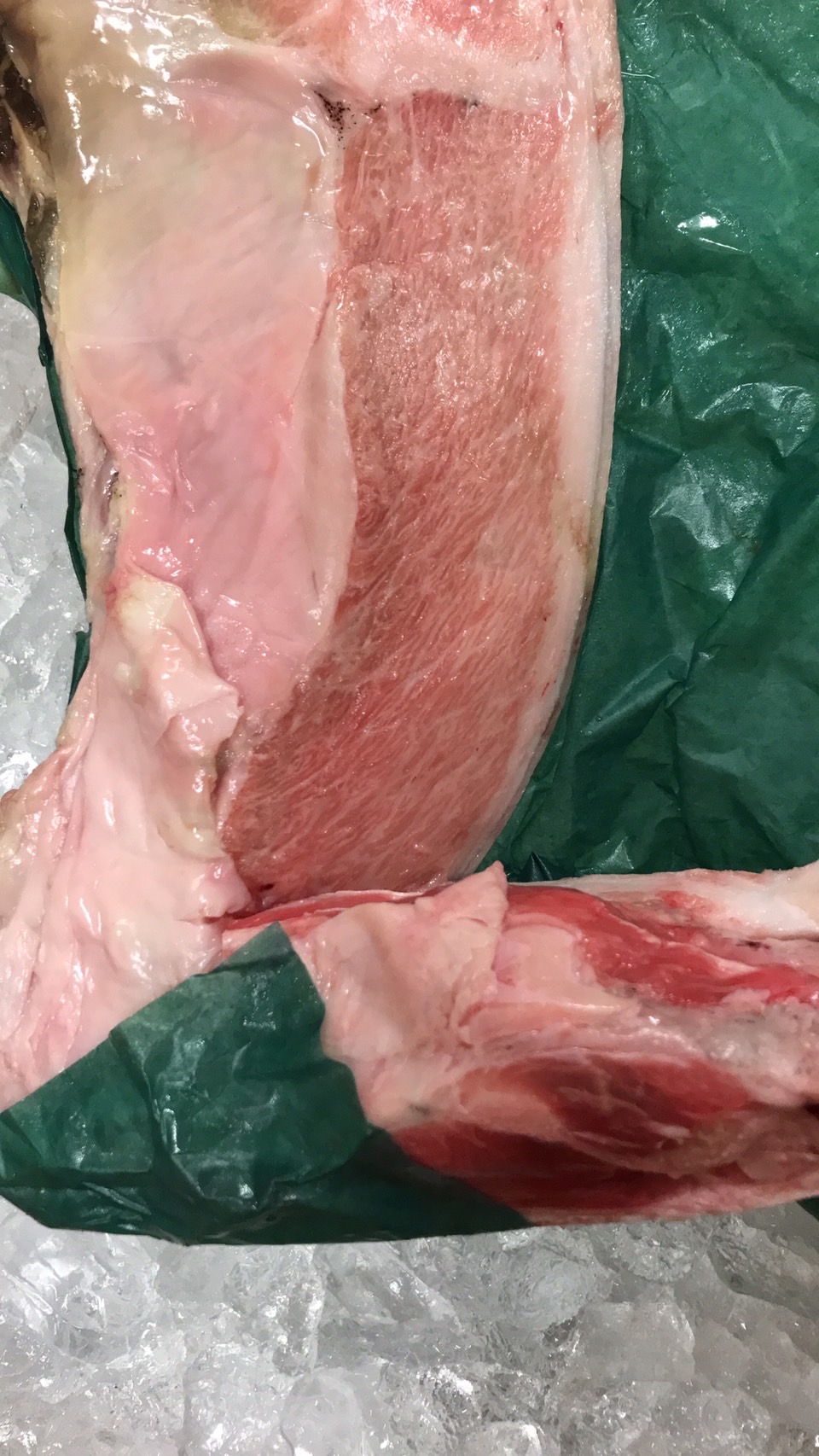 ☆生本マグロカマ　1個3000円