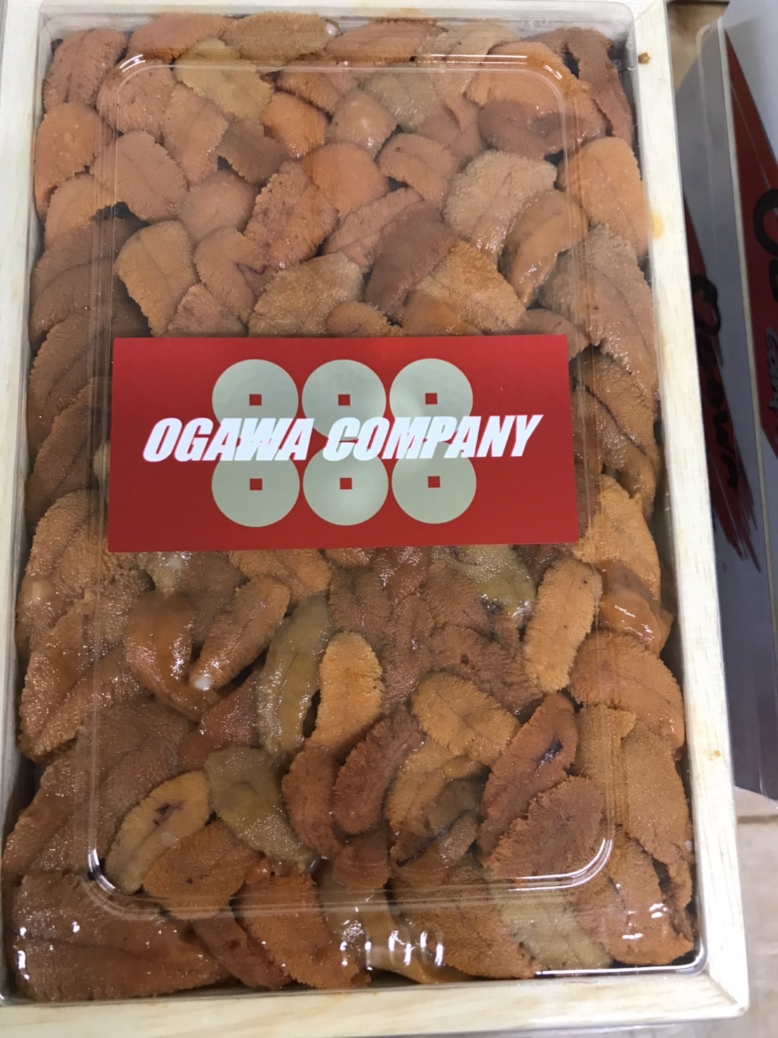 ★ロシア産　カンパニー　赤バラ　250g前後　１枚　