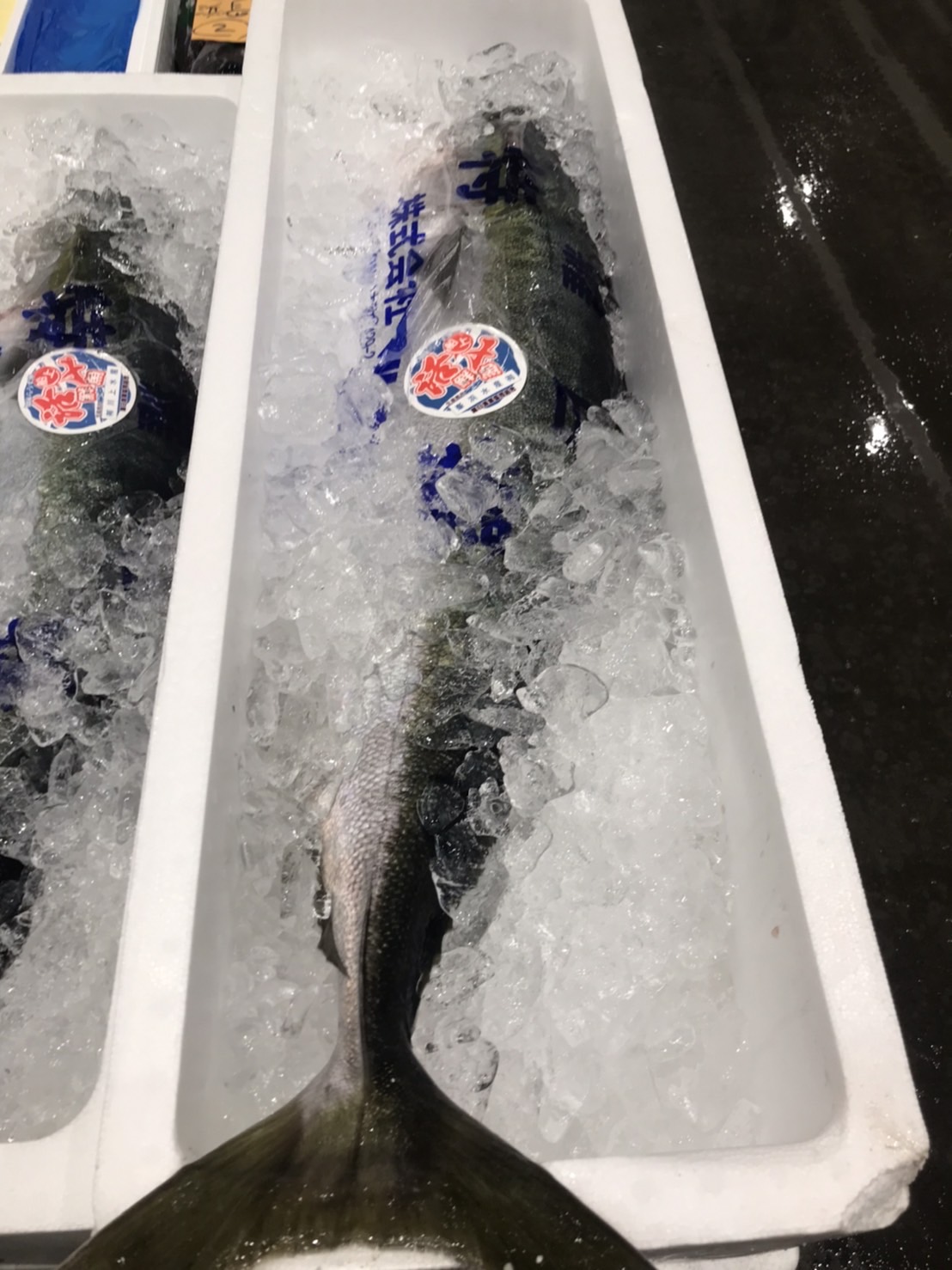 →神奈川　活〆イナダ　2k前後　1尾　k1200