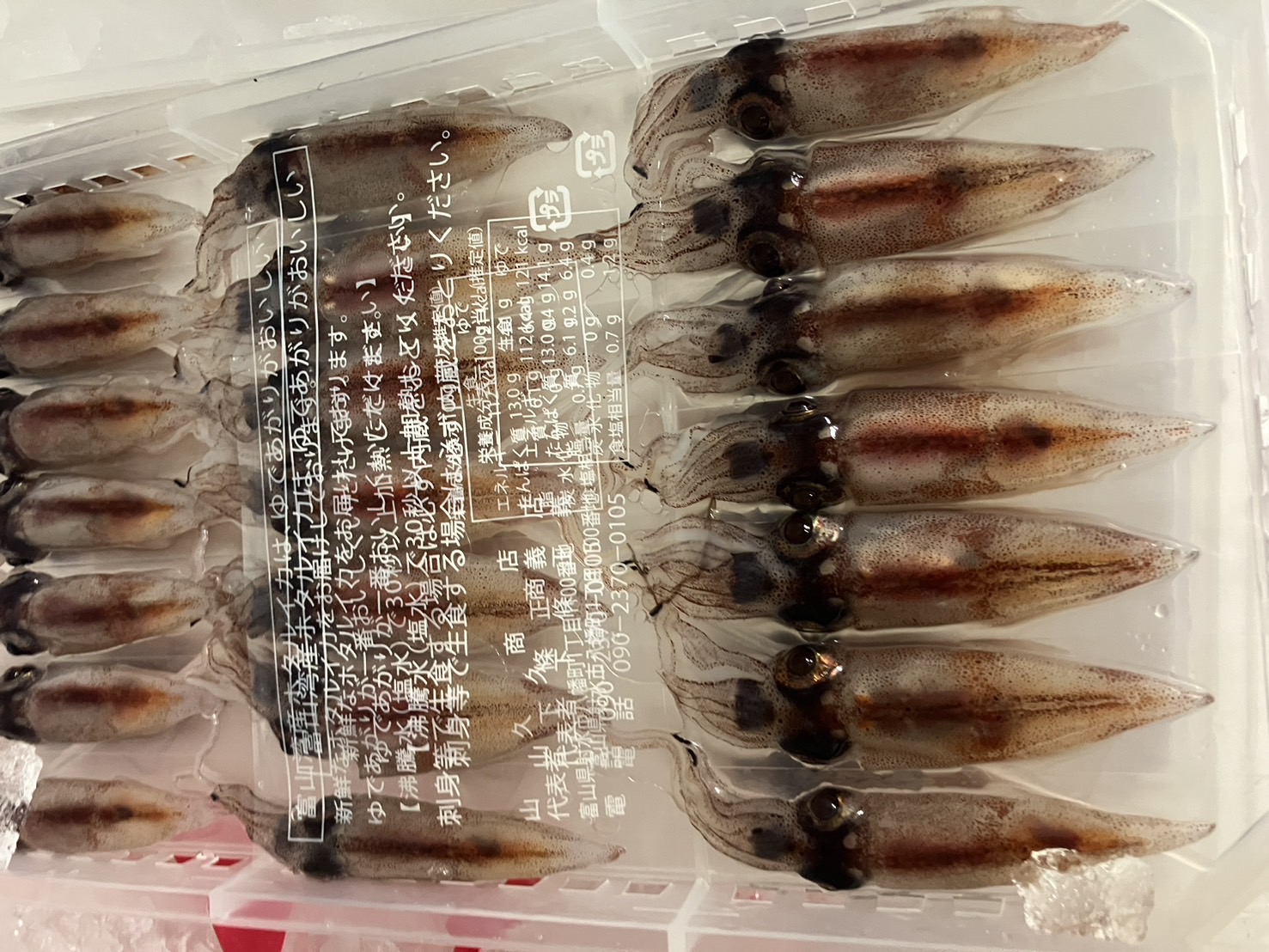 ＊特売！新物　富山　生ホタルイカ　解凍　１枚