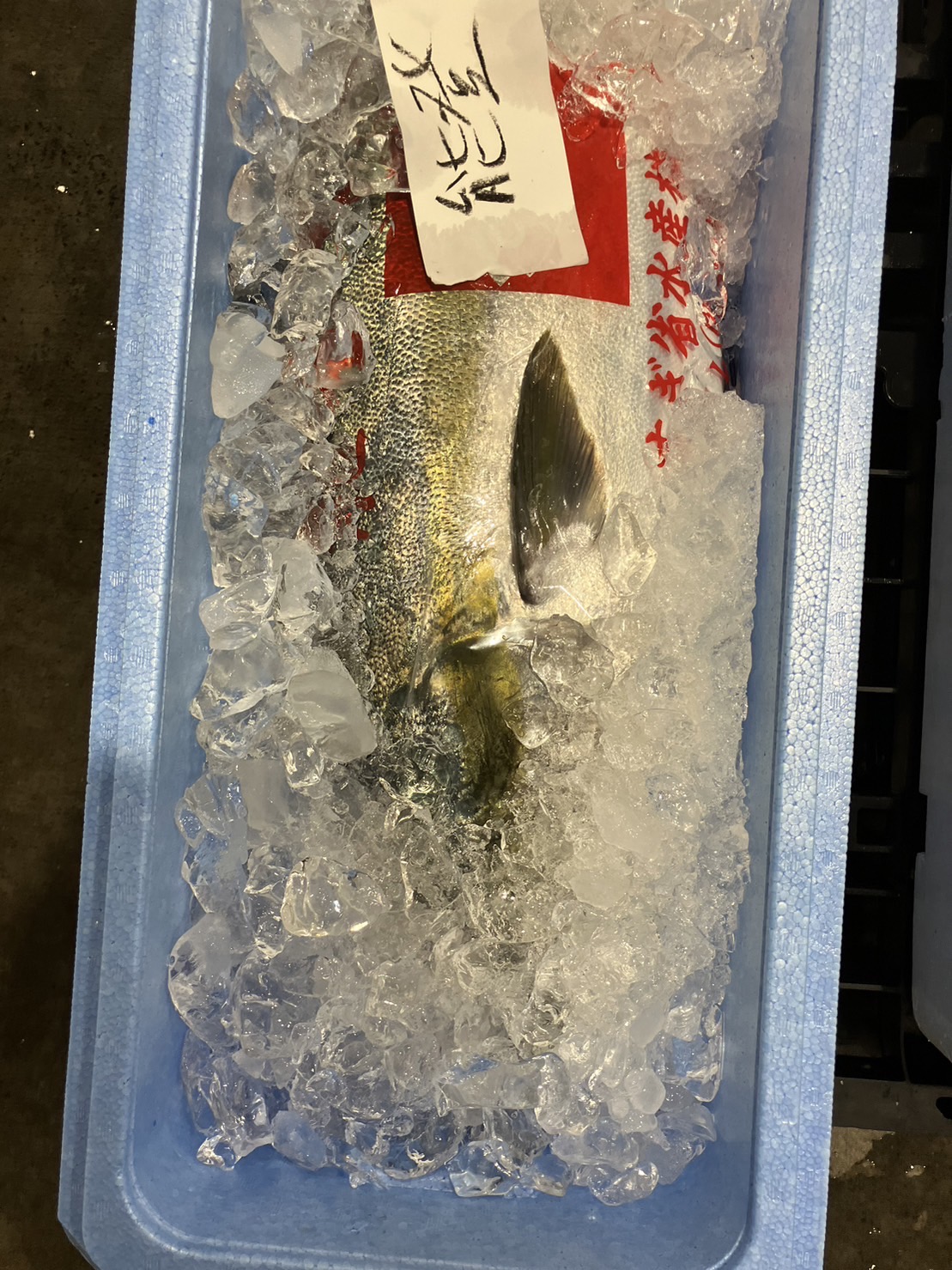 →三重　活〆ブリ　脂！！！10k 前後　4分1  k2800