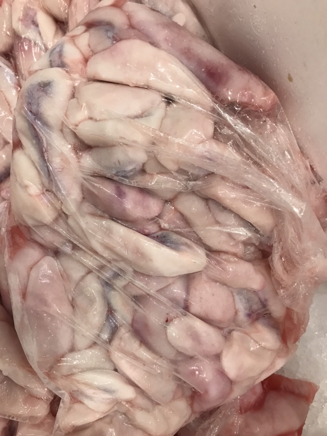 →大分　トラフグ白子　安　500入　1p 2500