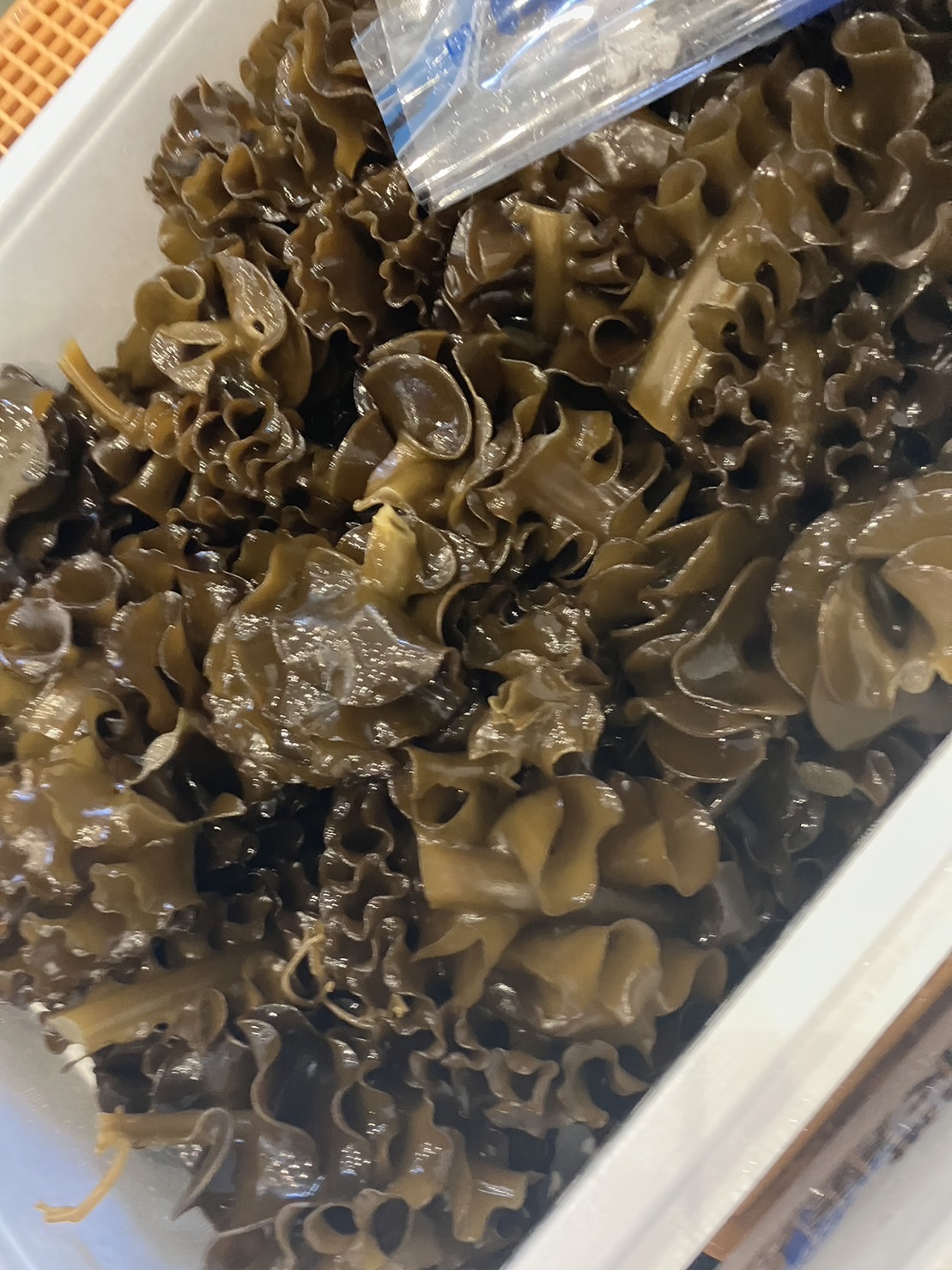 ◆特売！！佐島　ドリルメカブ　500g入1p780