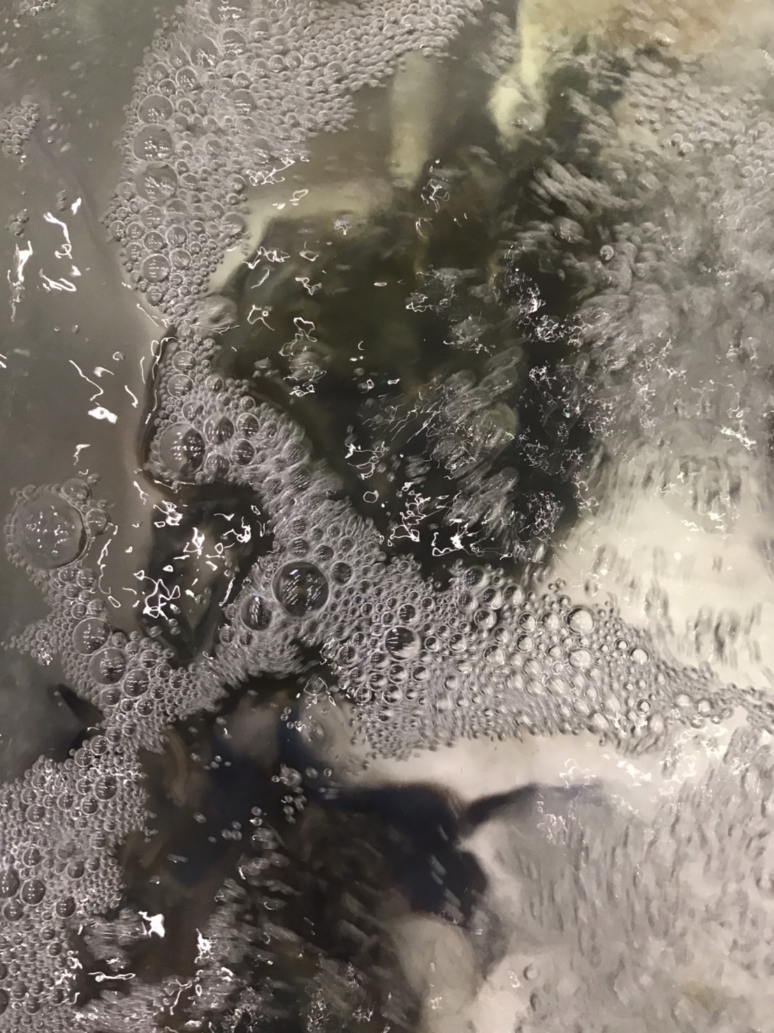 ＊宮城　活ワタリカニオス　400g前後　1尾　k7500