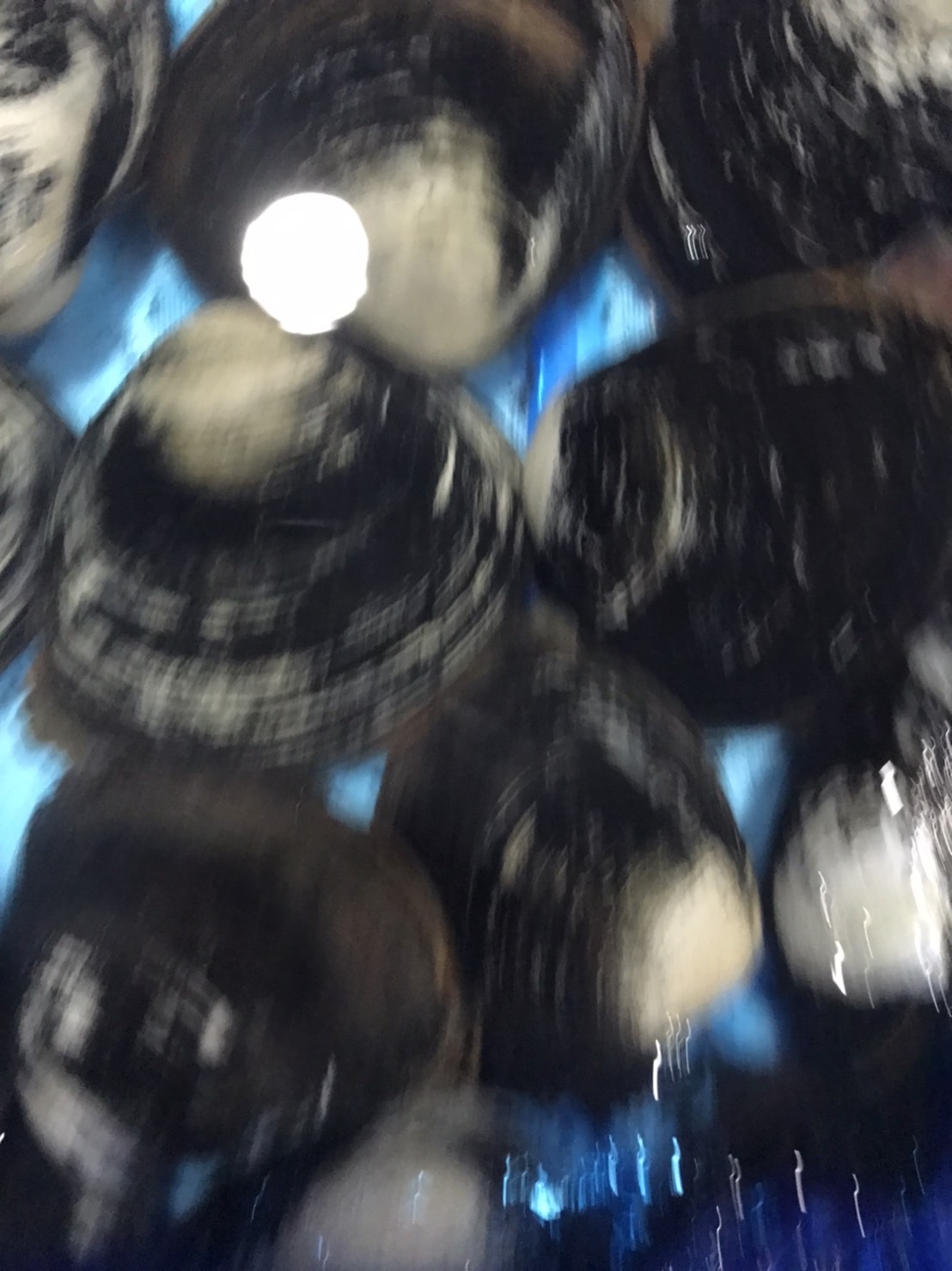 ∞北海道　特大黒ホッキ貝　400g前後　1個　k2500