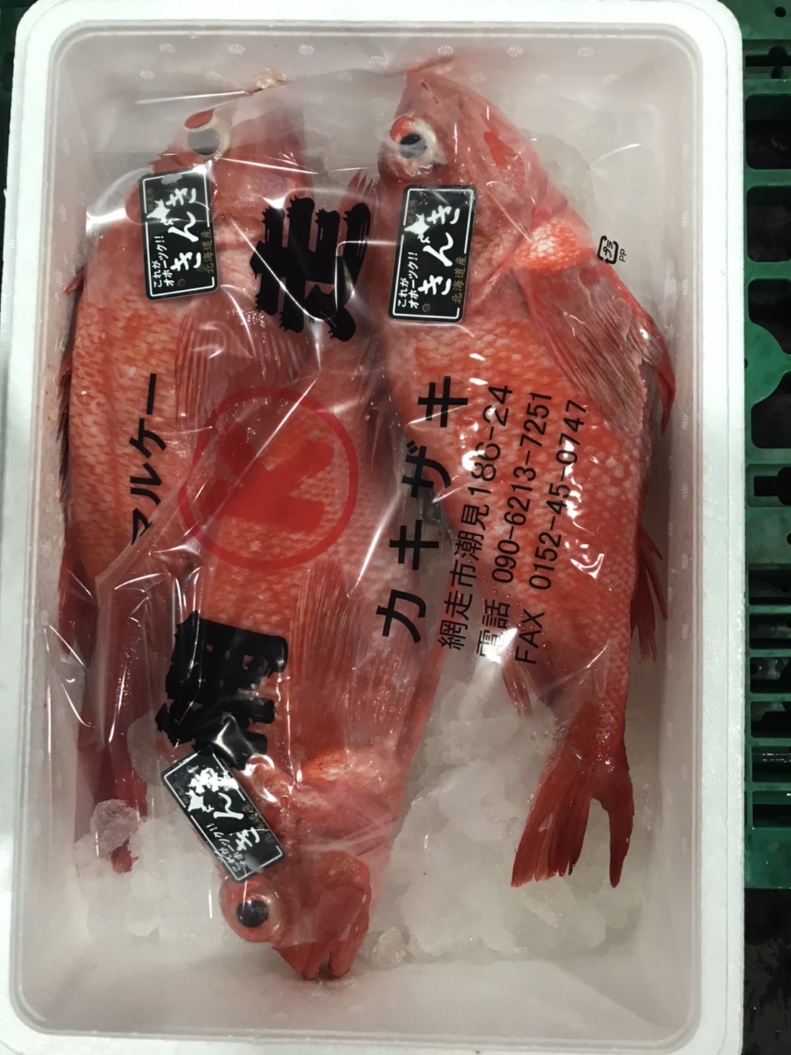 →北海道　キンキ　1k前後　1尾　k15000