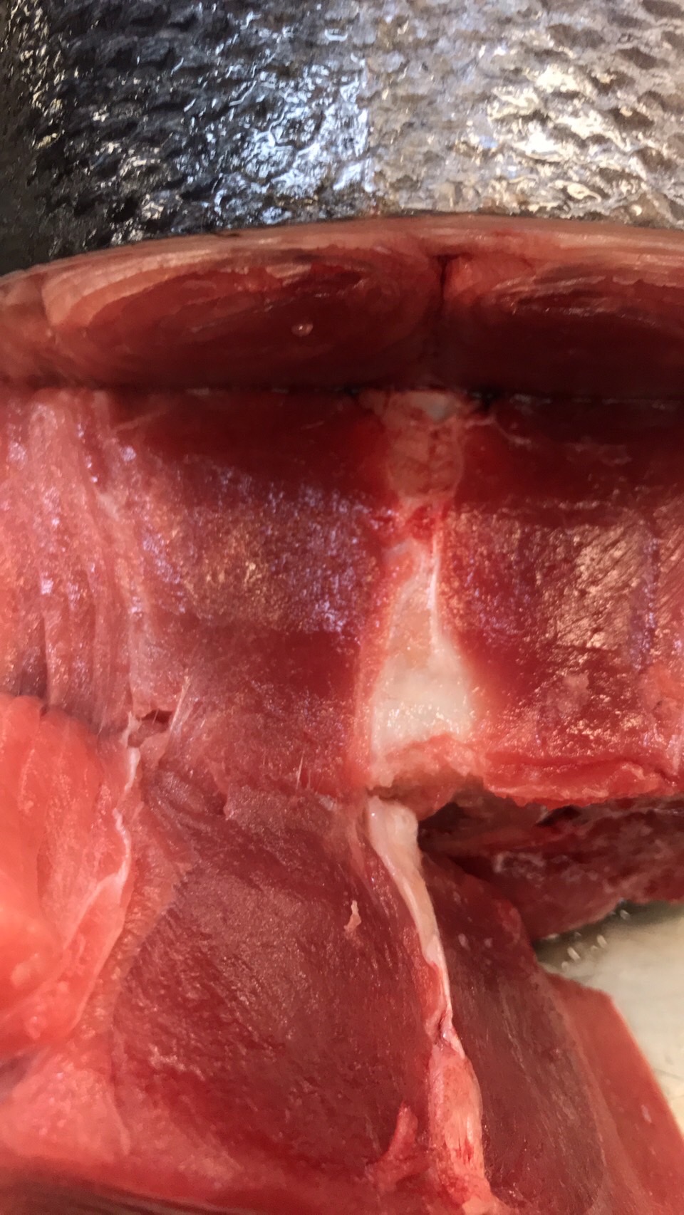 ☆大特売！　宮城　天然本マグロ旋網　脂かみ　1kから　k4500