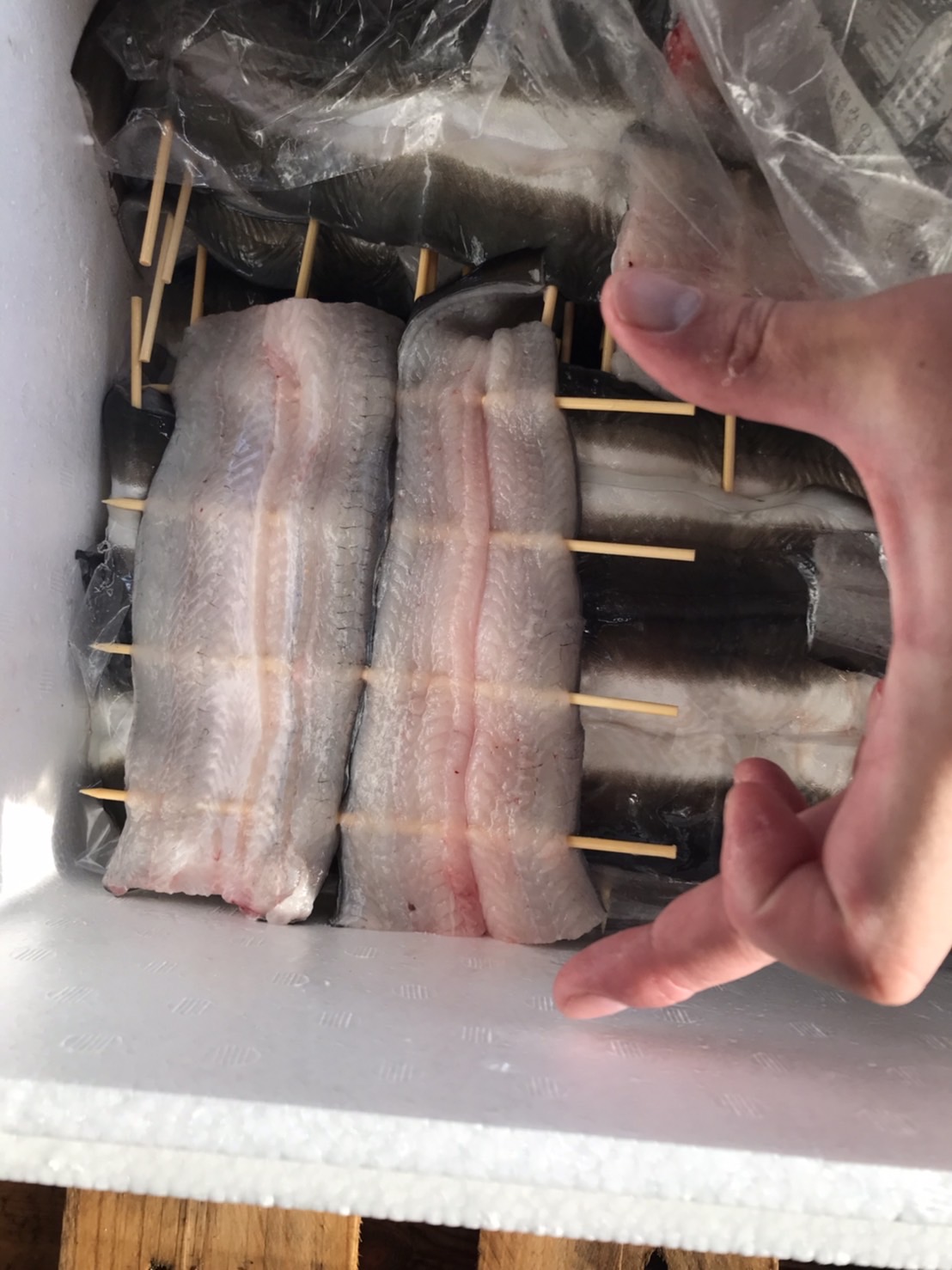 →愛知　活ウナギ開き　1尾300g前後　1尾　k7500