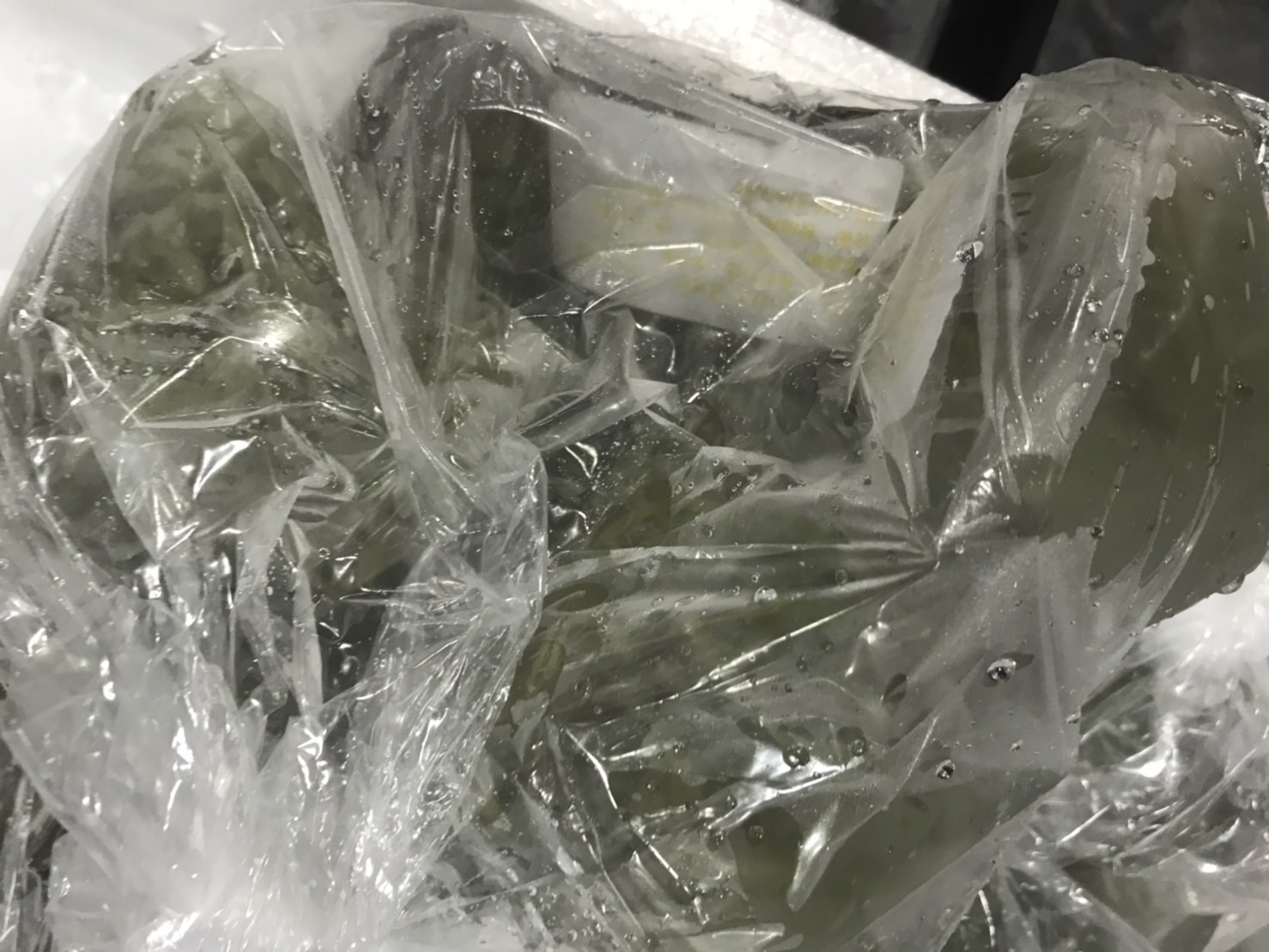 ◆京都　ギバサ　500g入　1p 680