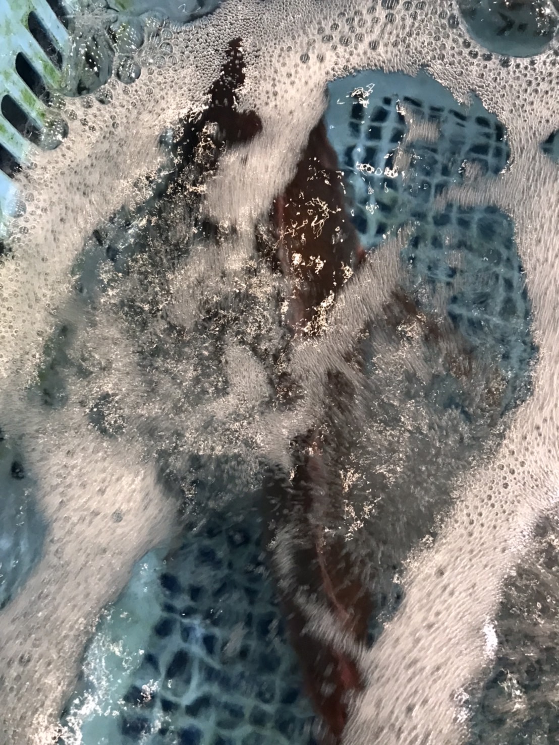 →神奈川　アンコウ　5k前後　1尾　k1200