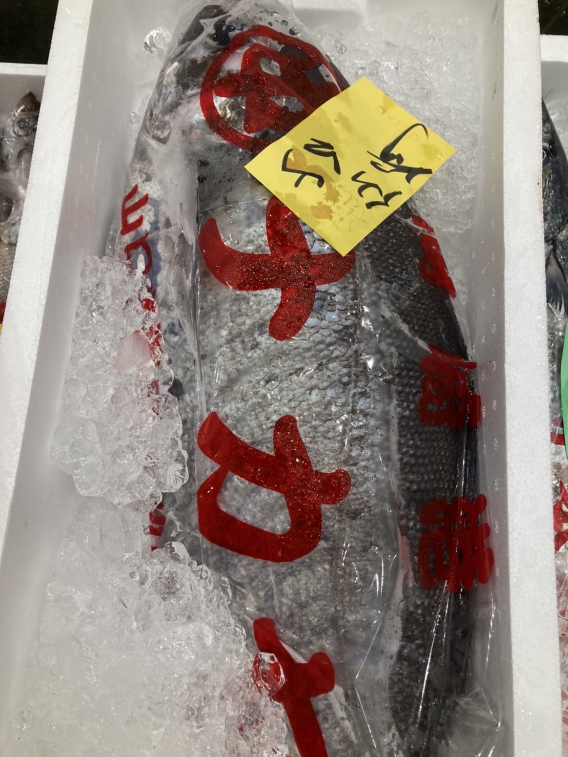 →特売！！山口県　メダイ　5k前後　半身　k2200