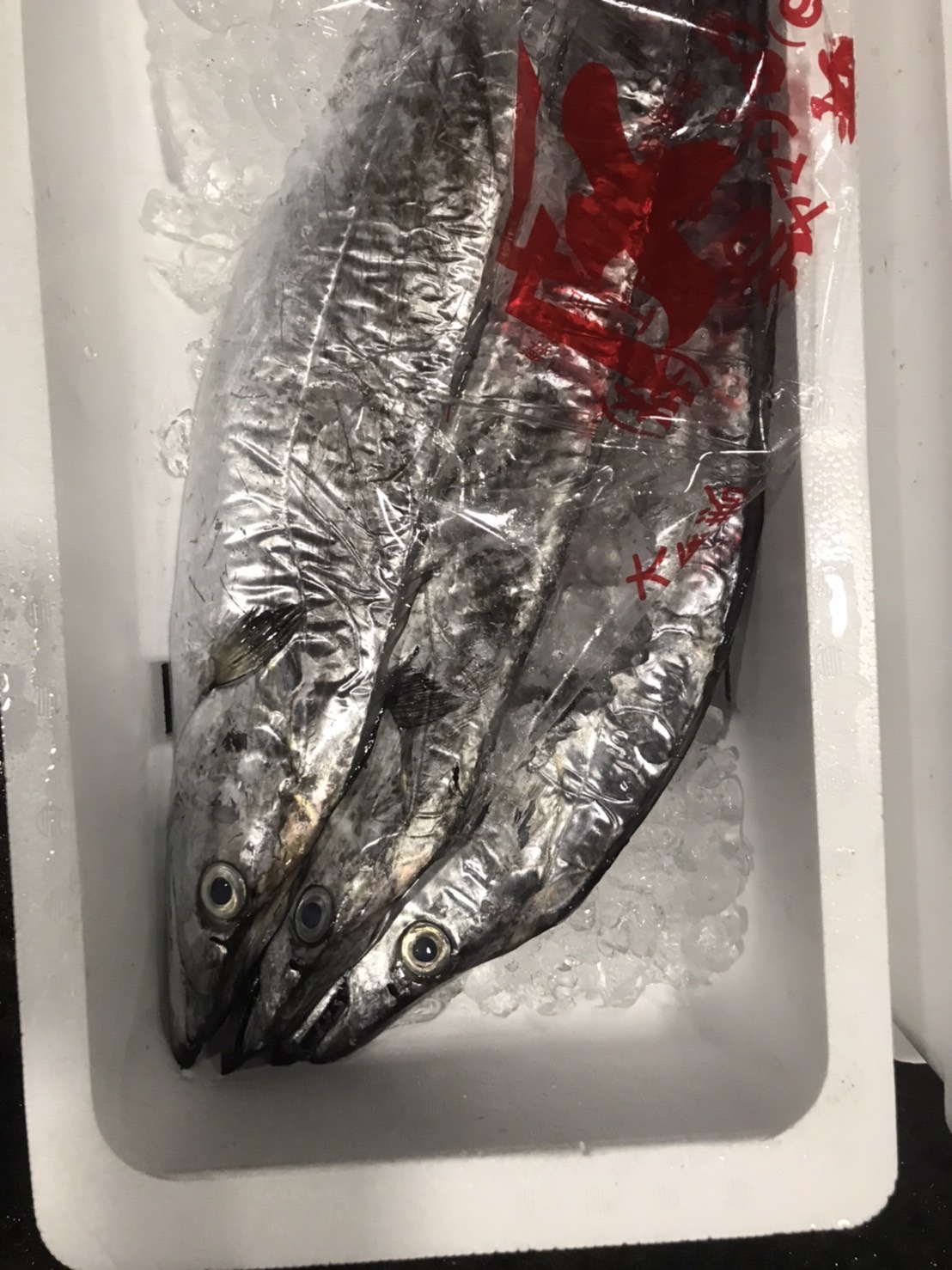 →小柴　タチウオ　1.5k前後　1尾　k3980