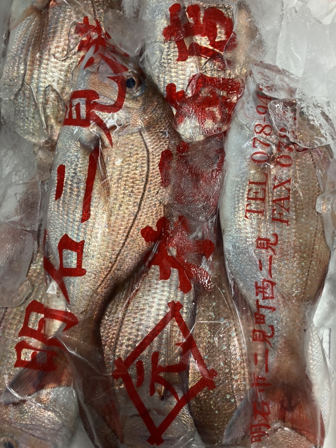  →茨城　カスゴダイ　500g入　1p 580