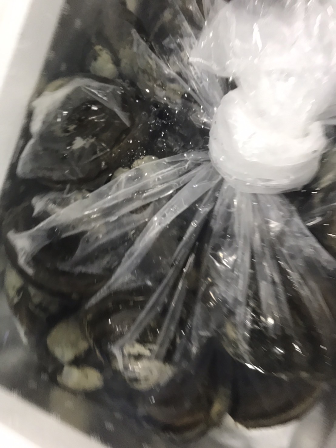 ∞特売！！福島　ホッキ貝　安　1k入　1p980