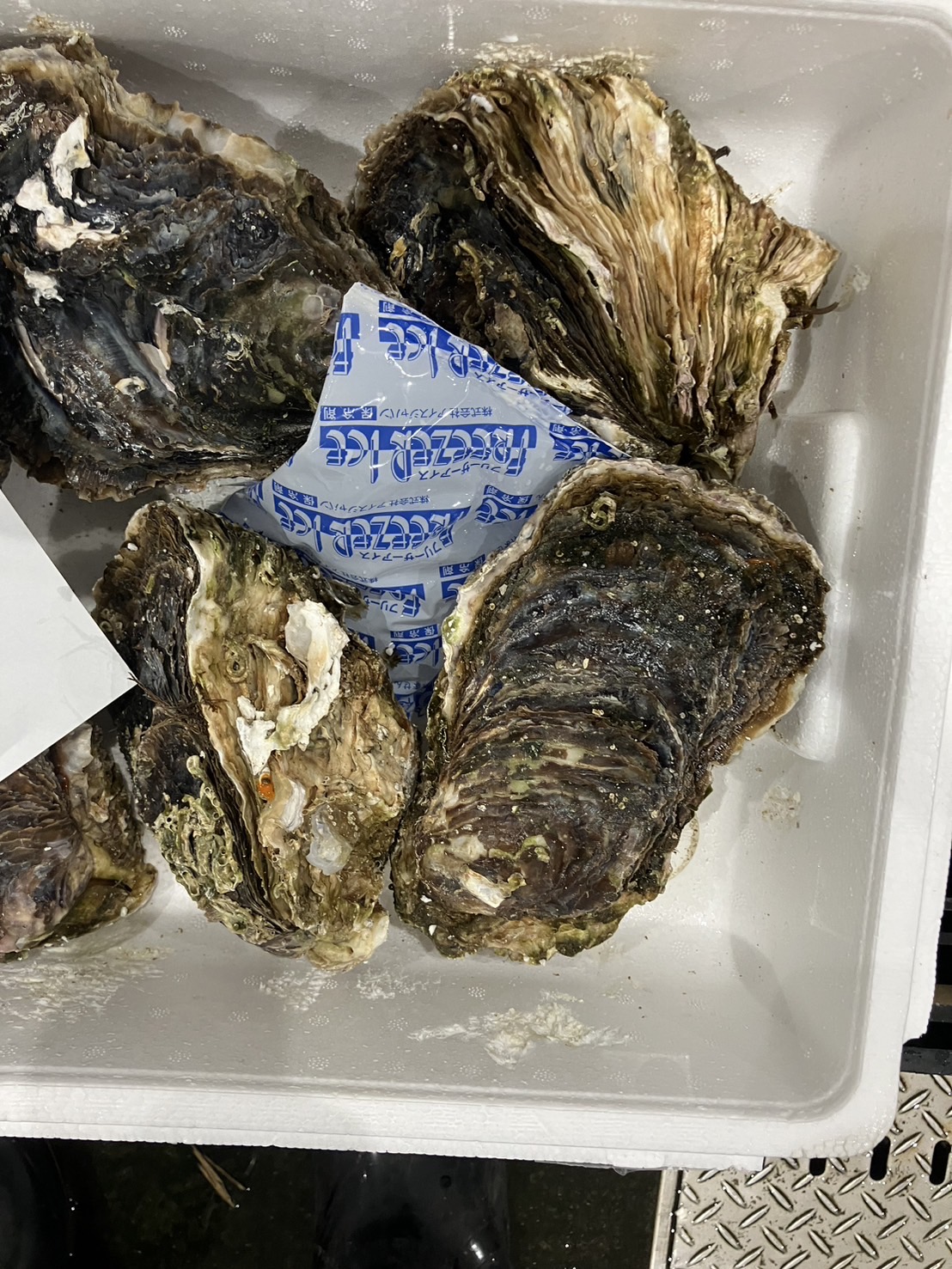 ■厚岸　カキ　1個